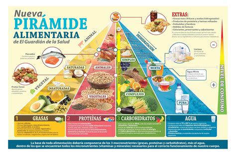 Infografía Pirámide Alimenticia Ed 150 Proteinas Y Carbohidratos