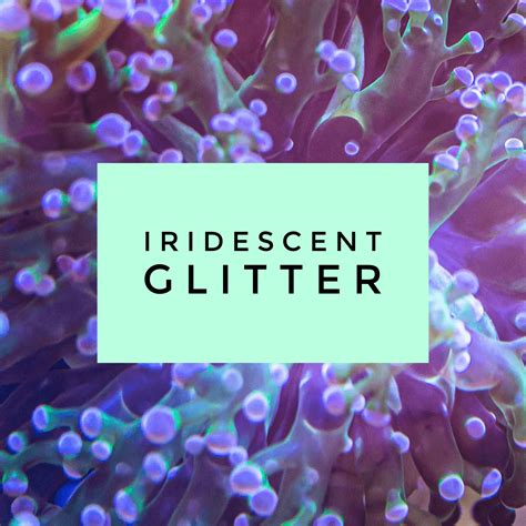 Iridescent Glitter Wildflower Glitter Co Llc
