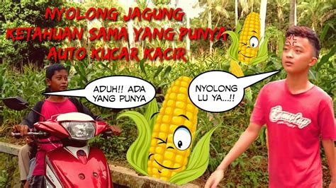We're all at sixes and sevens. Komedi Nyolong jagung orang ketahuan || auto kucar-kacir ...