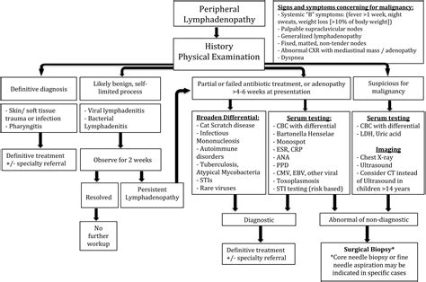 Lymphadenopathy In Children A Streamlined Approach For The Surgeon — A