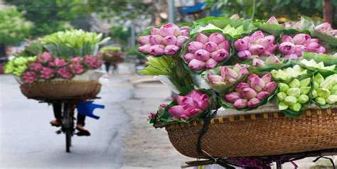 Flowers With Culture Of Hanoi People Xin Chao Vietnam Beautiful