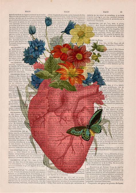 Floral Anatomy Illustrations On The Pages Of Old Books | DeMilked