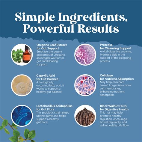 Candida Complex With Digestive Enzymes Natures Craft Candida Suppor