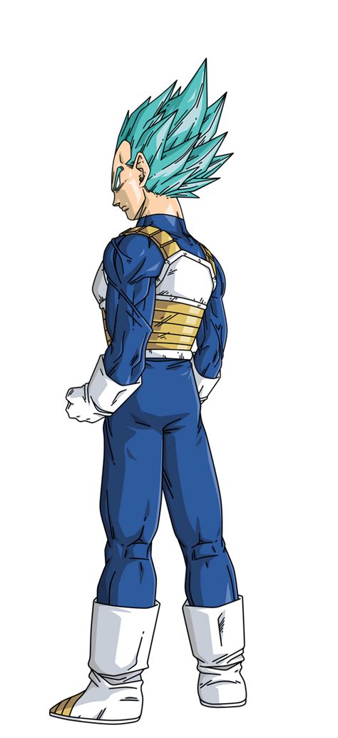 Vegeta Super Saiyan Blue Espaldas By Bardocksonic On Deviantart