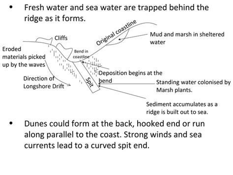 Gcse Geography Coasts Revision