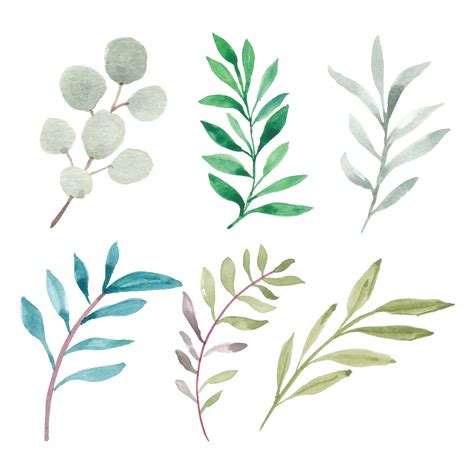 Hand Painted Leaf Greenery Element Collection 1183385 Vector Art At