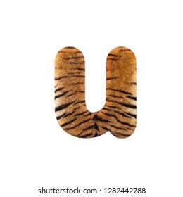 Tiger Letter U Uppercase 3d Feline Stock Illustration 1282442860