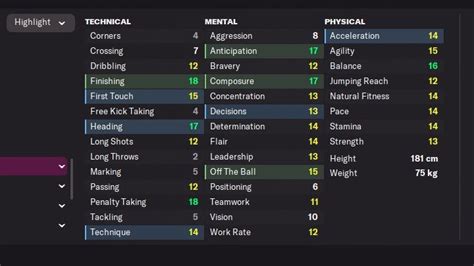 Football Manager 2022 Player Attributes