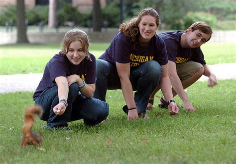 Buy professional squirrel control products including squirrel repellent and squirrel traps from squirrel control. Squirrel Club? Yep and just about any other group a college student can think up