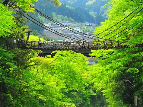 Tokushima To The Kazurabashi Bridge One Of The Three Great Unusual