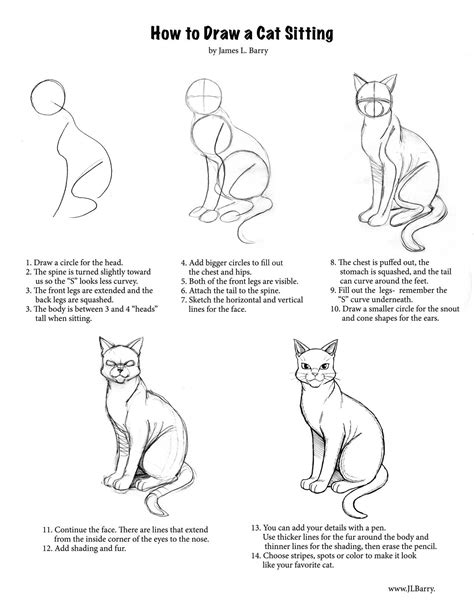 Cat Sitting Drawing Reference Bobette Rosa
