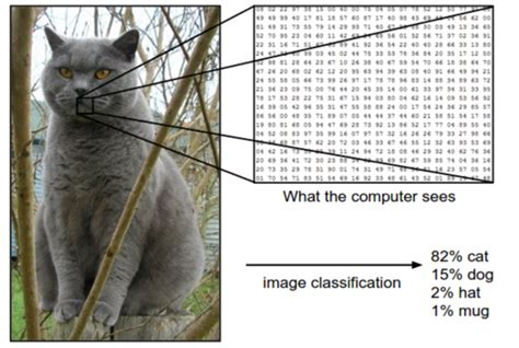 How Does Computer Vision Work Indata Labs