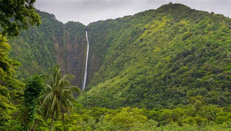 The Waipio Valley What You Need To Know Big Island Guide