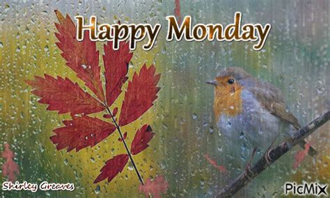 Raining Happy Monday Animated Quotes Pictures Photos And Images For