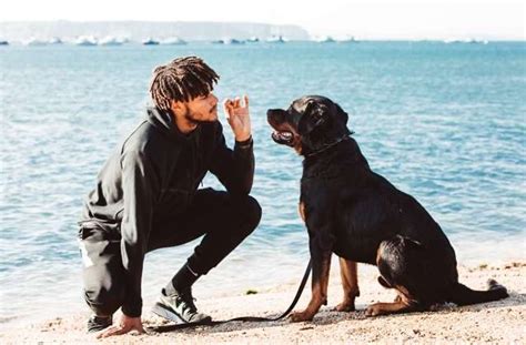 Tyrone mings (born 13 march 1993) is a british footballer who plays as a centre back for british club aston villa. #aston villa on Tumblr