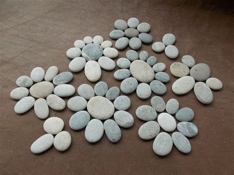 Bulk 70 Smooth Flat Beach Pebbles Oval And Round Surf Tumbled Etsy