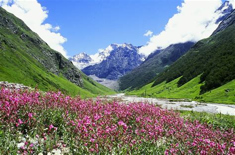 Valley Of Flowers National Park Uttarakhand 2020 All You Need To