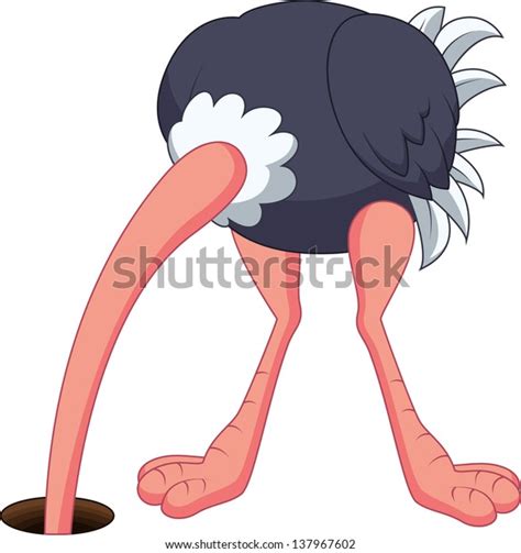 Ostrich Hiding Head Hole Stock Vector Royalty Free 137967602