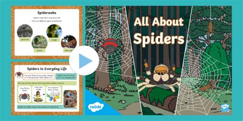 All About Spiders Powerpoint Teacher Made