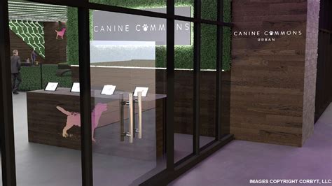 Austins Canine Commons Indoor Dog Park Comes To The Domain