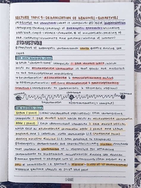 Pin By Ravenclaw Studies On Taking Notes Nice