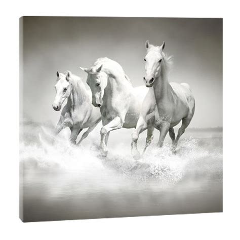 Ce tableau cheval noir et blanc sera votre nouvel pièce de déco favorite. photo de cheval noir et blanc - Photos de nature