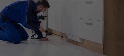 Pest Control Services in Santa Clarita | All Pro Pest ...