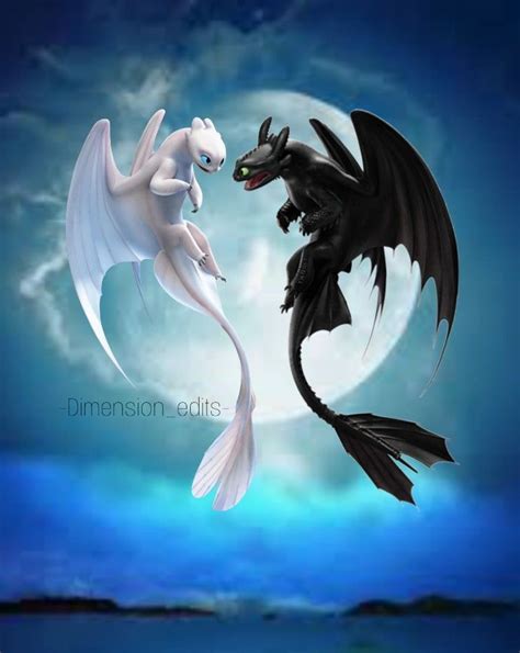 Two Black And White Dragon Are Facing Each Other In Front Of A Full