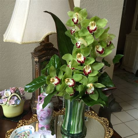 Fresh Cut Cymbidium Orchid Arrangement In Agoura Hills Ca Oakbrook Florist And The T Garden