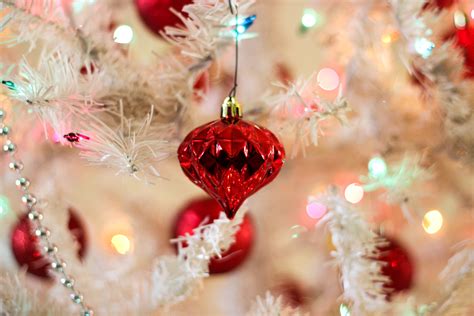 Free Images Branch Flower Petal Red Holiday Pink Christmas Tree