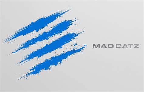 Mad Catz Wallpapers Top Free Mad Catz Backgrounds Wallpaperaccess