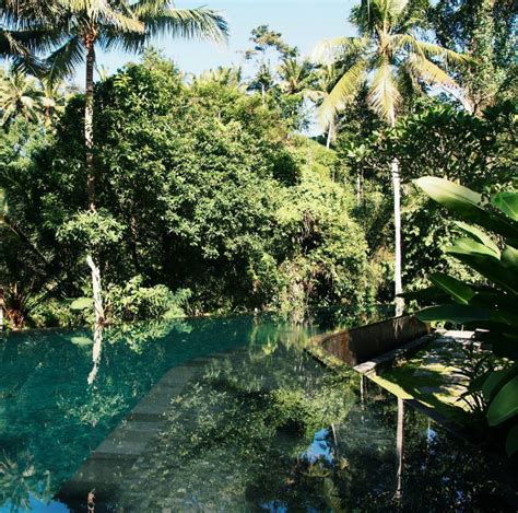 The Most Beautiful Pools In The World On Instagram Vogue Paris Ubud