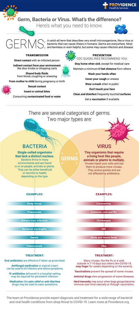 The Difference Between Germs Bacteria And Viruses