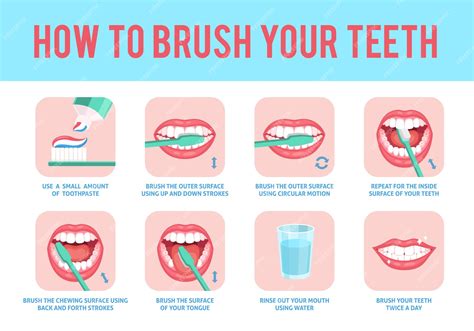 Premium Vector How To Brush Teeth Correct Tooth Brushing Education Instruction Toothbrush