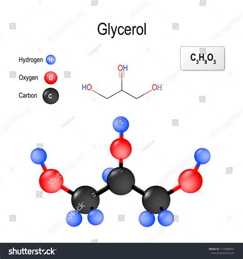 Glycerol Glycerine Glycerin Structure Molecule Chemical Stock Vector