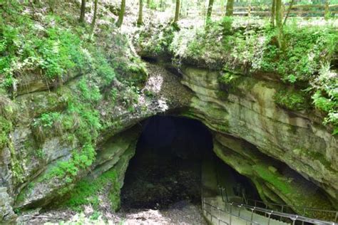Jaw Dropping Amazing Review Of Mammoth Cave Mammoth Cave National
