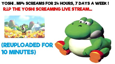 Rip Yoshi Live Stream Yoshi Screaming For 24 Hours 7 Days A Week