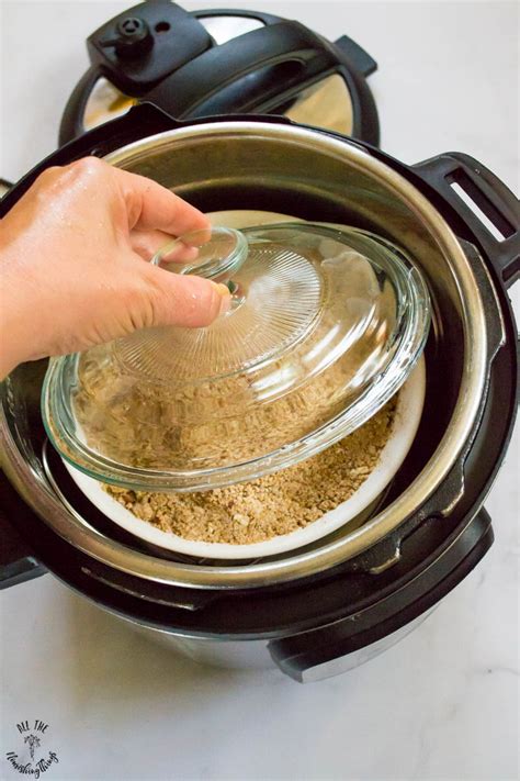 Paleo Instant Pot Apple Crumble (grain-free, dairy-free ...