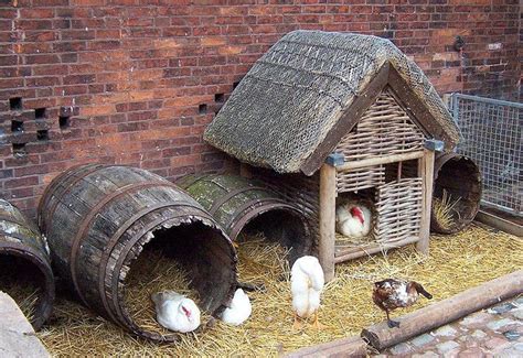 As well as drawings i also made a model which was quite usefull especially at planning committe. duck,houses | Duck coop, Duck house plans, Duck house
