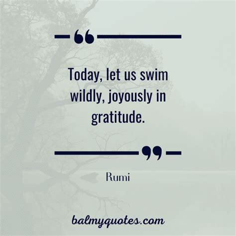 7 Inspiring Quotes On Gratitude By Rumi I Inspirational Quotes On Gratitude
