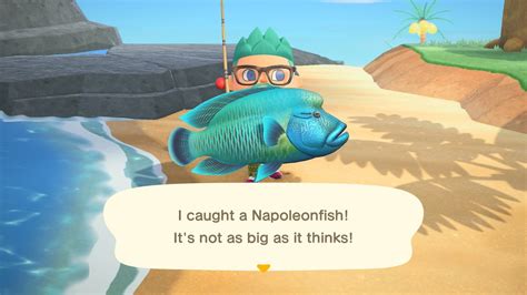 Napoleon Fish Animal Crossing Animal Crossing City Folk Napoleon Fish