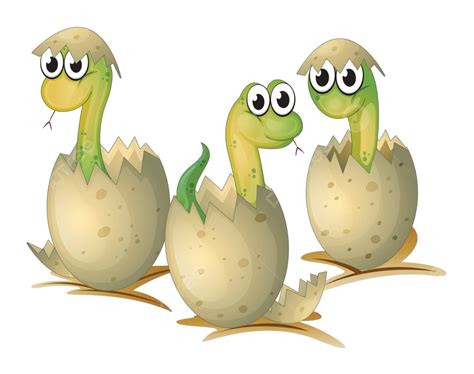 ثلاث بيضات متشققة حديثاً صورة أفعى خضراء متعرجة المتجه صورة متعرج