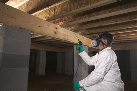 I own property in fl, and roaches are not common inside. Borate Termite Control - Pest Control Jacksonville Beach ...
