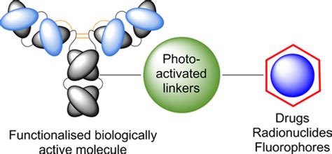 Photochemical Reactions In The Synthesis Of Proteindrug Conjugates