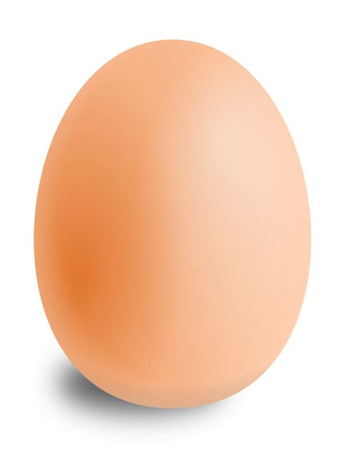 Image Of Egg Clipart Clipart My Xxx Hot Girl