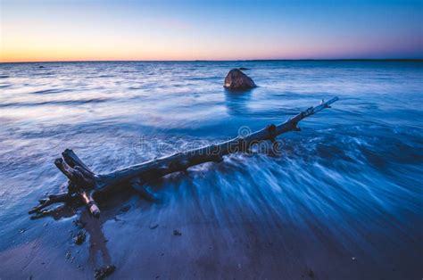 Driftwood On The Beach At Sunset Stock Image Image Of Colors Nature