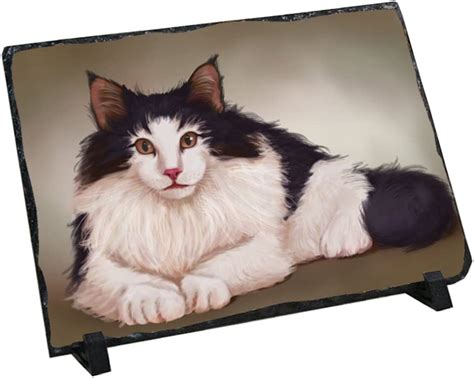 Doggie Of The Day Norwegian Forest Cat Photo Slate Home