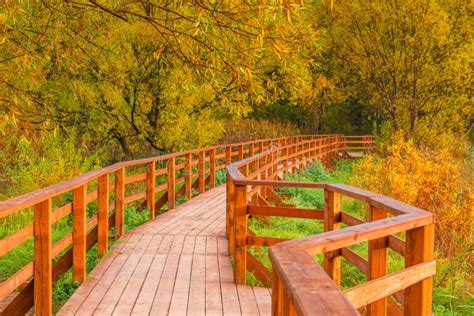 Wooden Bridge And A Trail In An Autumn Stock Photo Image Of Fresh