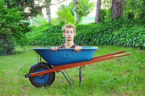 Wheelbarrow With Man Inside Stock Photo Image Of Lawn Chores 15236774