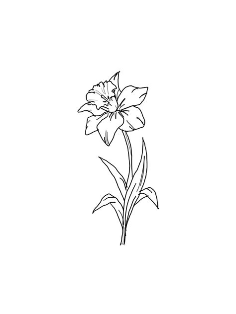 Birth Month Flower Illustration On Behance